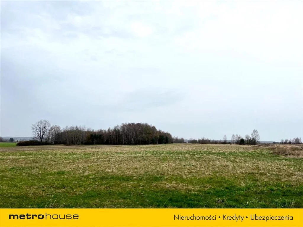 Działka 21 600,00 m², oferta nr , REWO542, Grzymałków