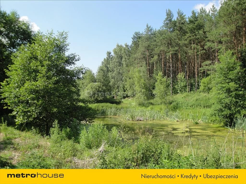 Działka 189 000,00 m², oferta nr , XEBO697, Gutowo