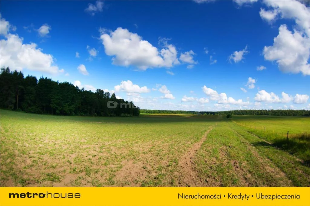 Działka 3 001,00 m², oferta nr , LYPU904, Guty