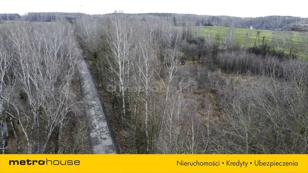 SGKURO425 - zdjęcie nr 0