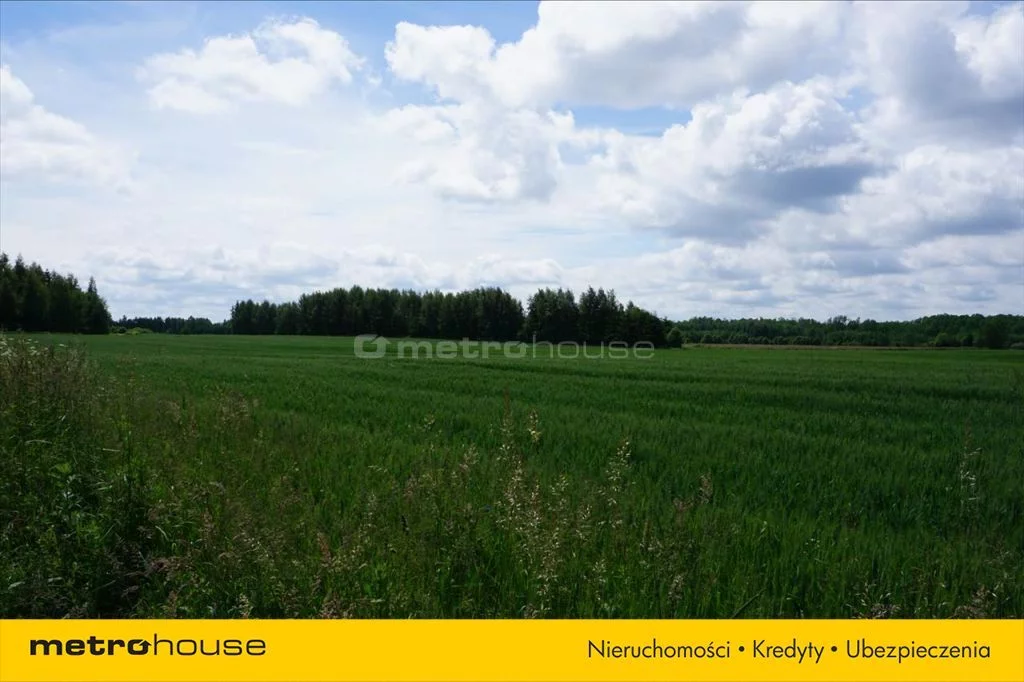 Działka 3 005,00 m², oferta nr , SUTE551, Harsz