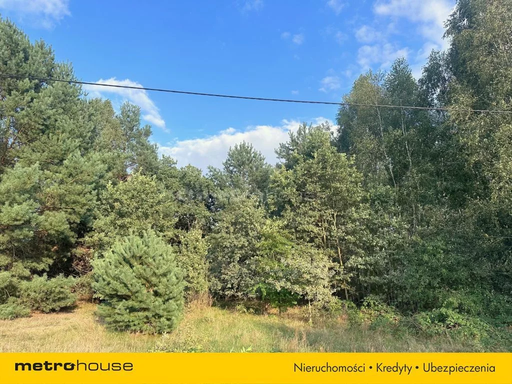 Działka 1 865,00 m², oferta nr , SGFEMI801, Hipolitów