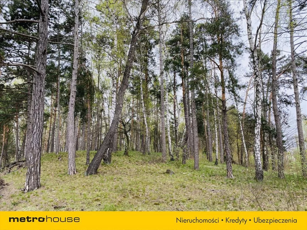 Działka 11 104,00 m², oferta nr , DYWO134, Huta Mińska