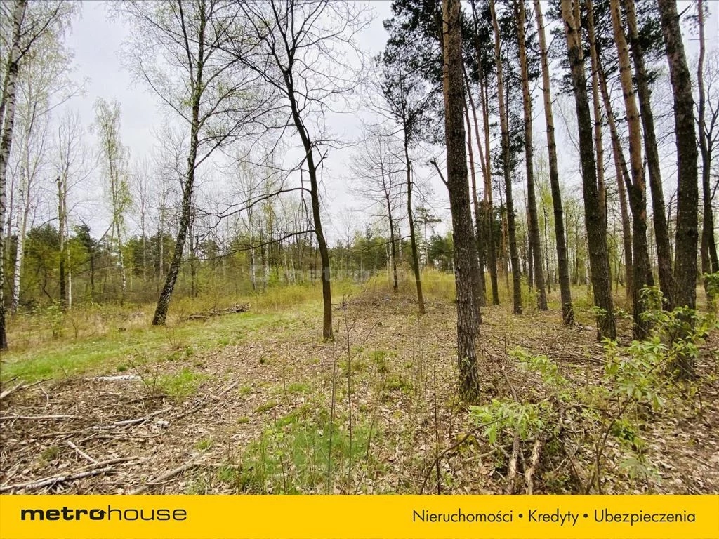 Działka 11 104,00 m², oferta nr , DYWO134, Huta Mińska