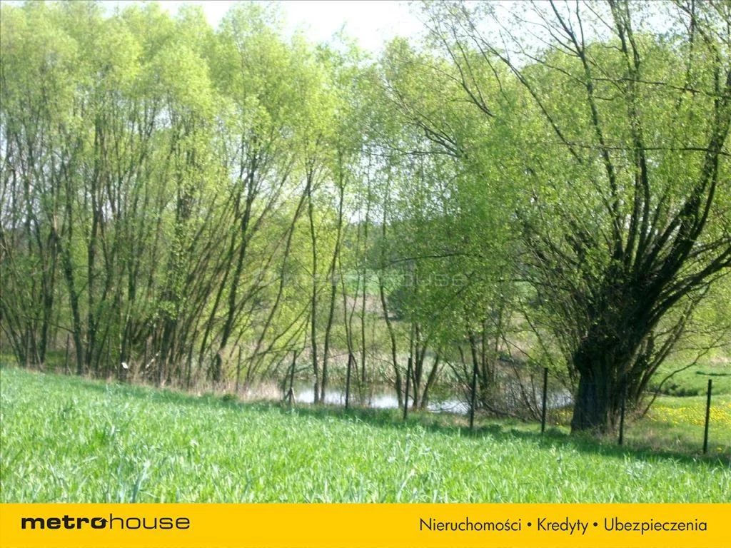 Działka 27 000,00 m², oferta nr , MEHY982, Iłowo-Osada