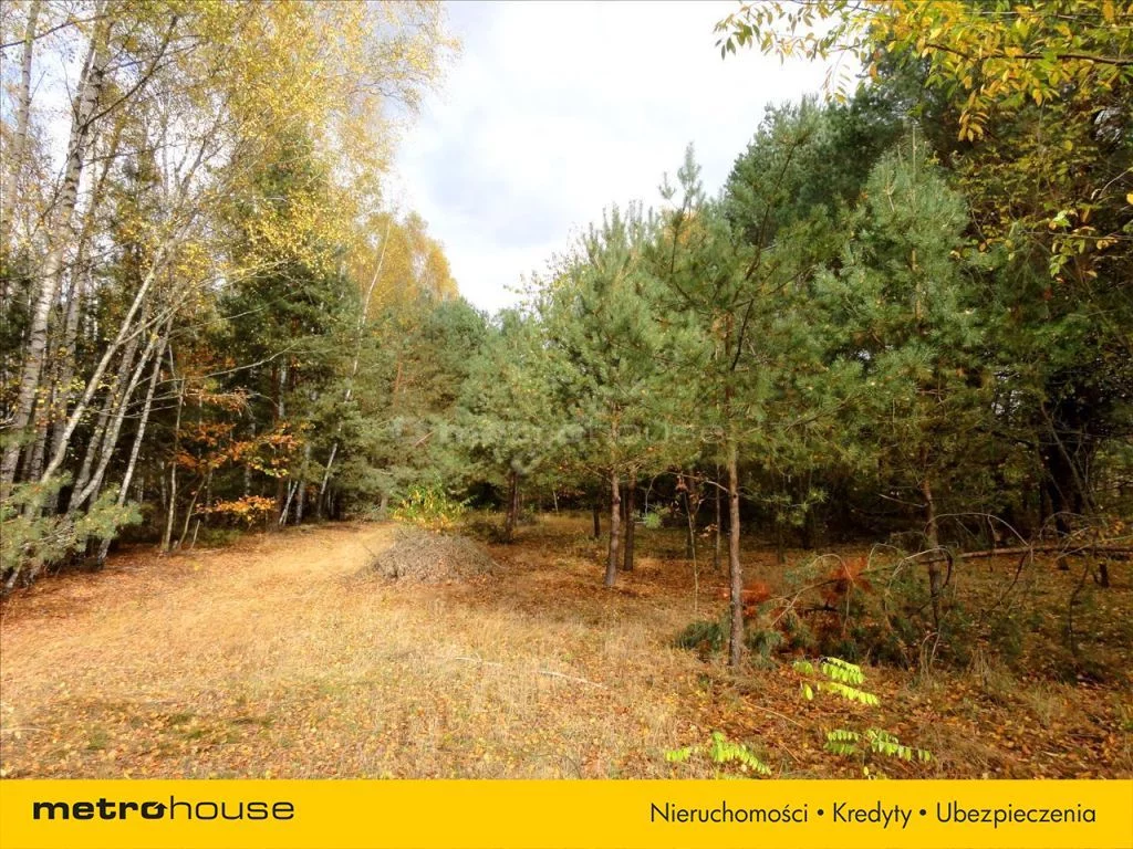 Działka 4 271,00 m², oferta nr , HOCI713, Iły
