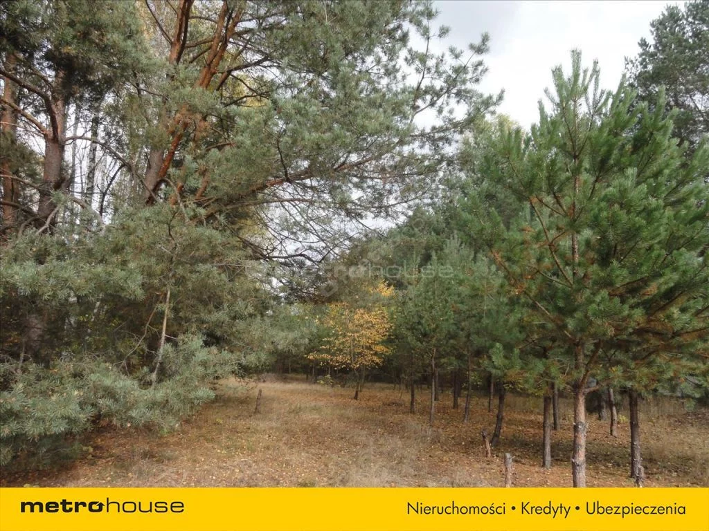 Działka 4 271,00 m², oferta nr , HOCI713, Iły