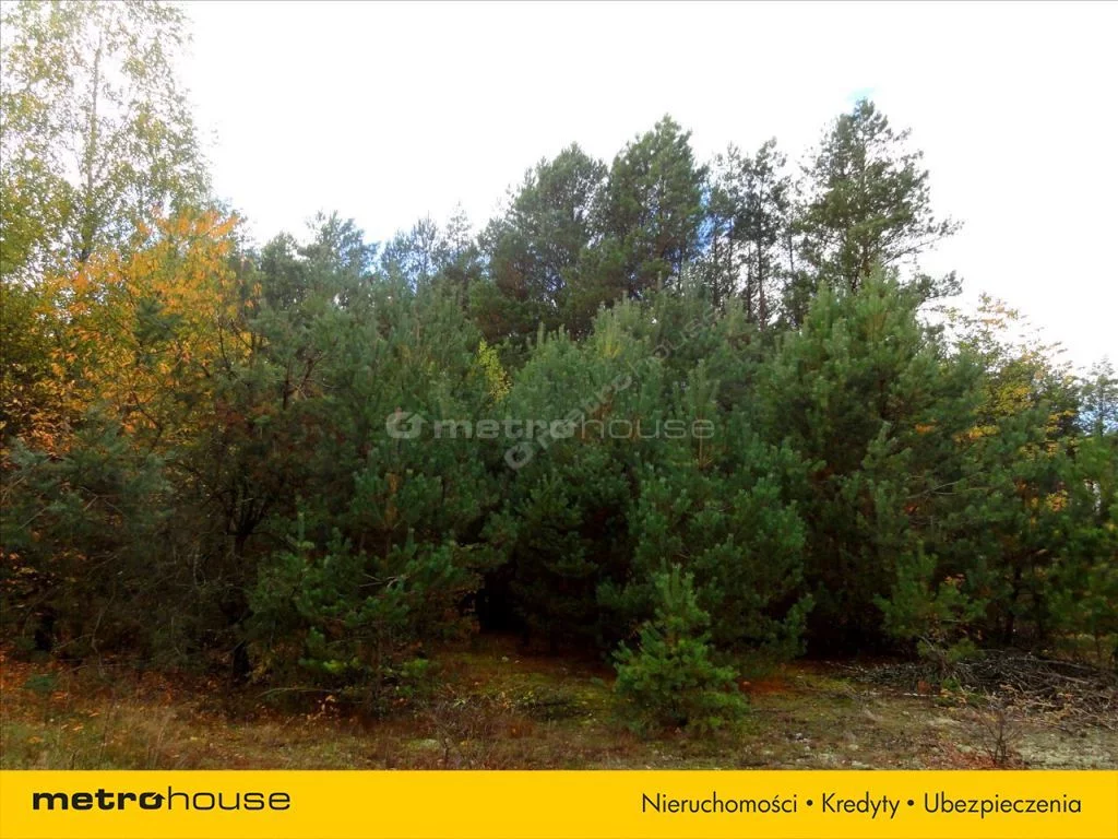 HOCI713 - zdjęcie nr 3