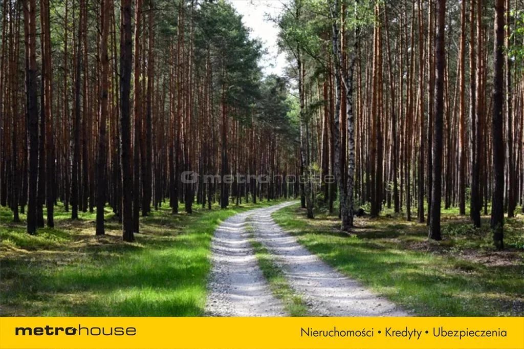 Działka 9 660,00 m², oferta nr , PECE234, Inowłódz
