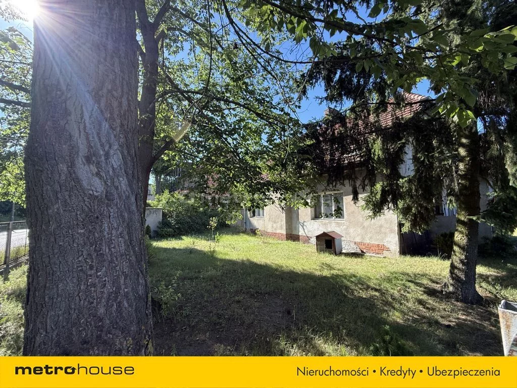 SGNAZU431 - zdjęcie nr 4