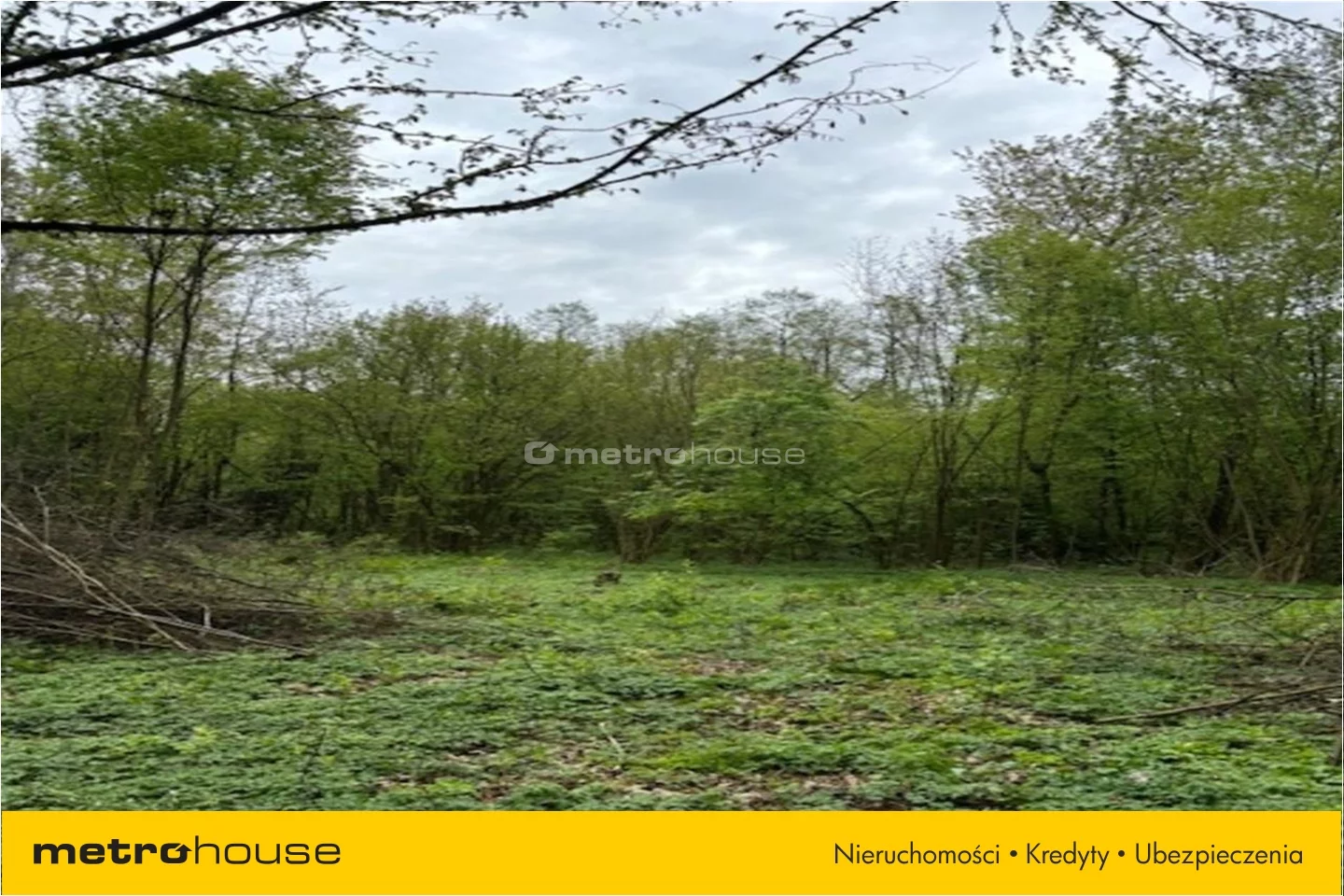 Działka 8 900,00 m², oferta nr , TOMU044, Jackowo Dworskie
