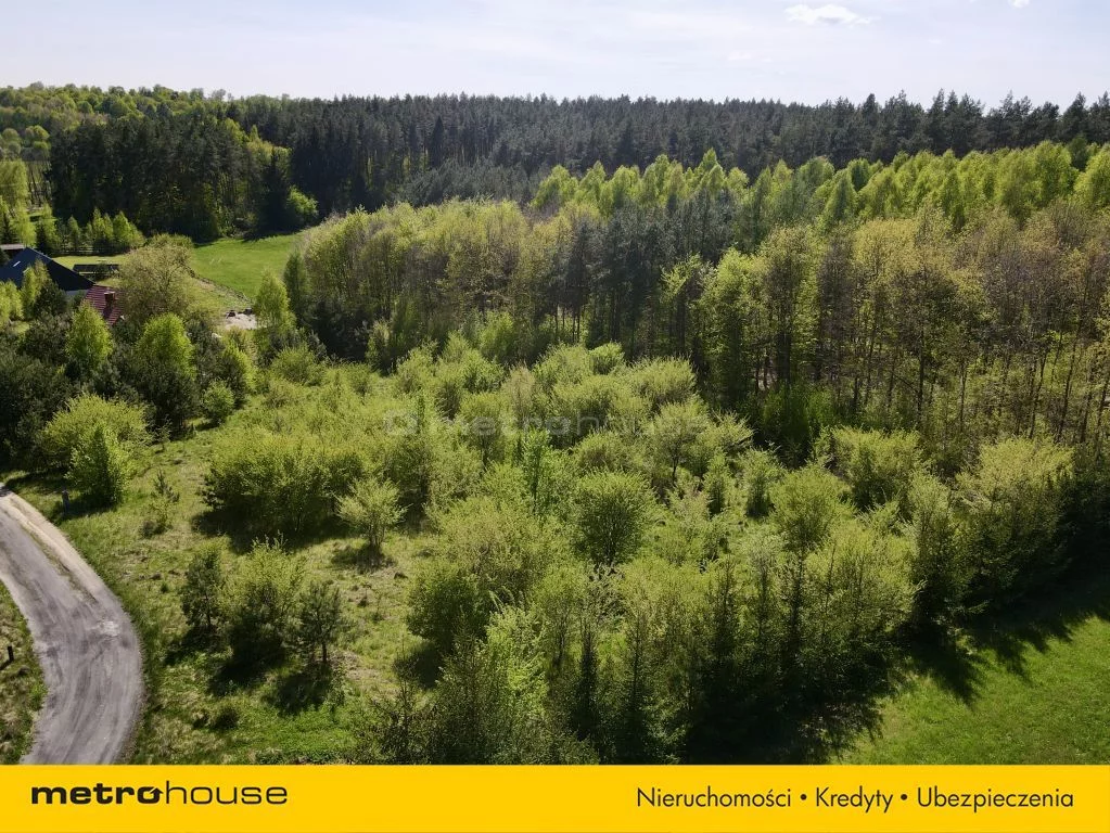 SGZAPU643 - zdjęcie nr 1