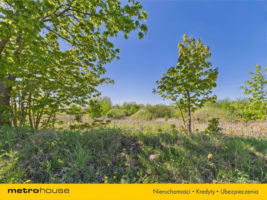 Działka 23 835,00 m², oferta nr , SGTUCA400, Jarczechowo