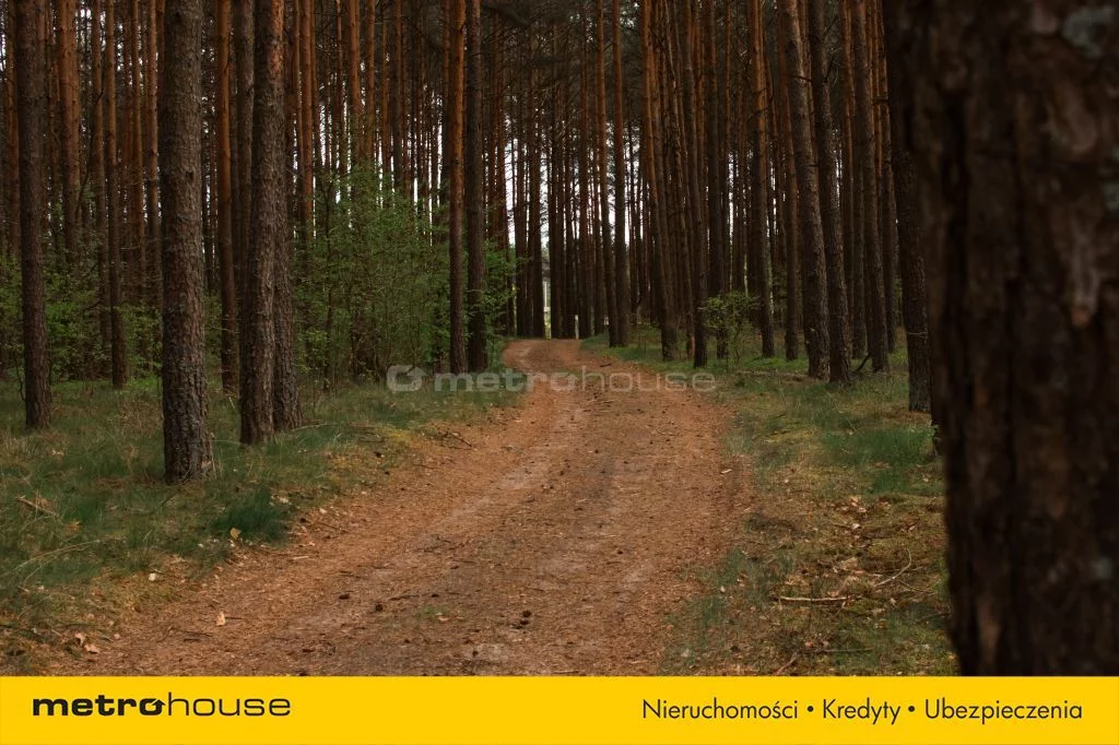 Działka 3 307,00 m², oferta nr , SGMUPI494, Jastrzębie