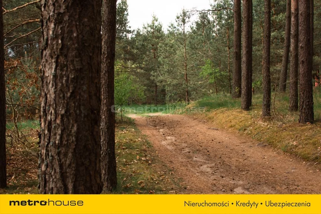 Działka 3 307,00 m², oferta nr , SGMUPI494, Jastrzębie