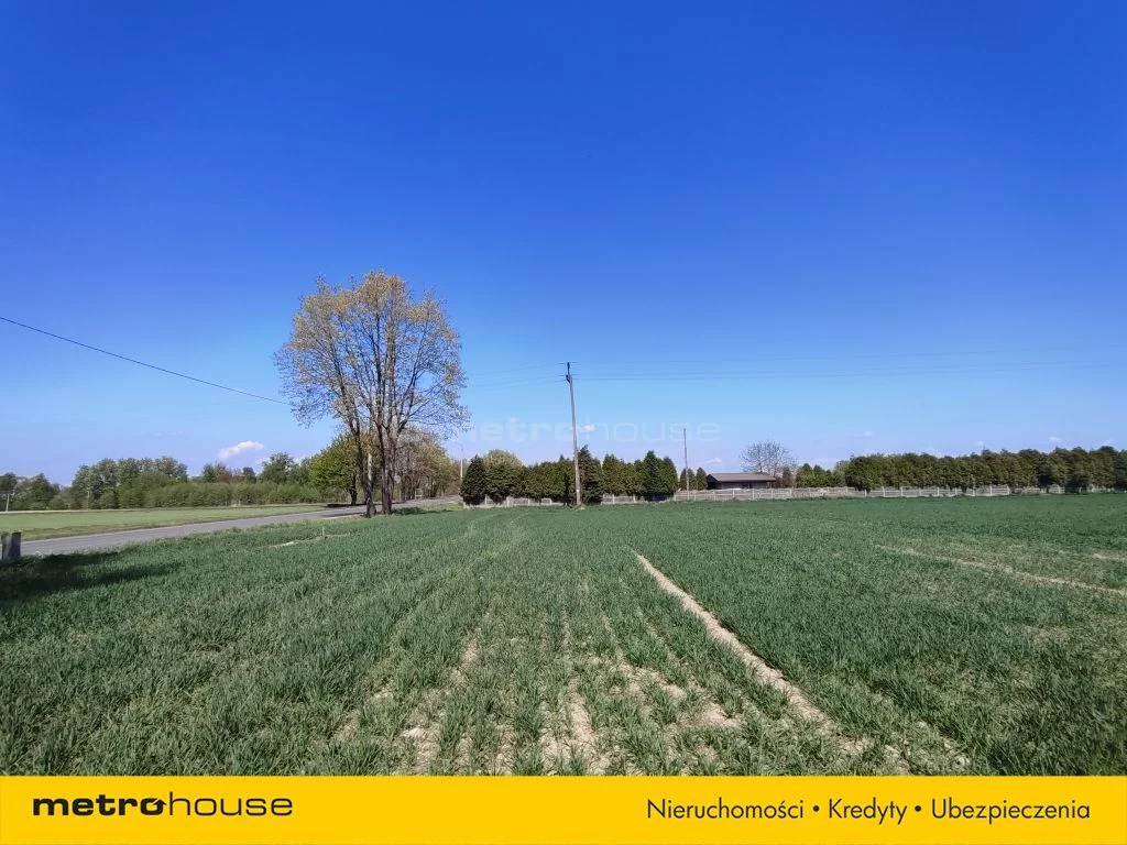 Działka 4 090,00 m², oferta nr , SGBEJI531, Gogołowa, Jastrzębska