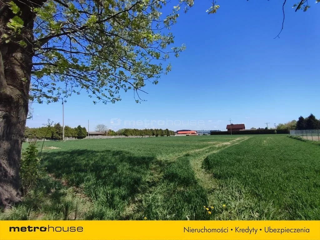 Działka 4 090,00 m², oferta nr , SGBEJI531, Gogołowa, Jastrzębska