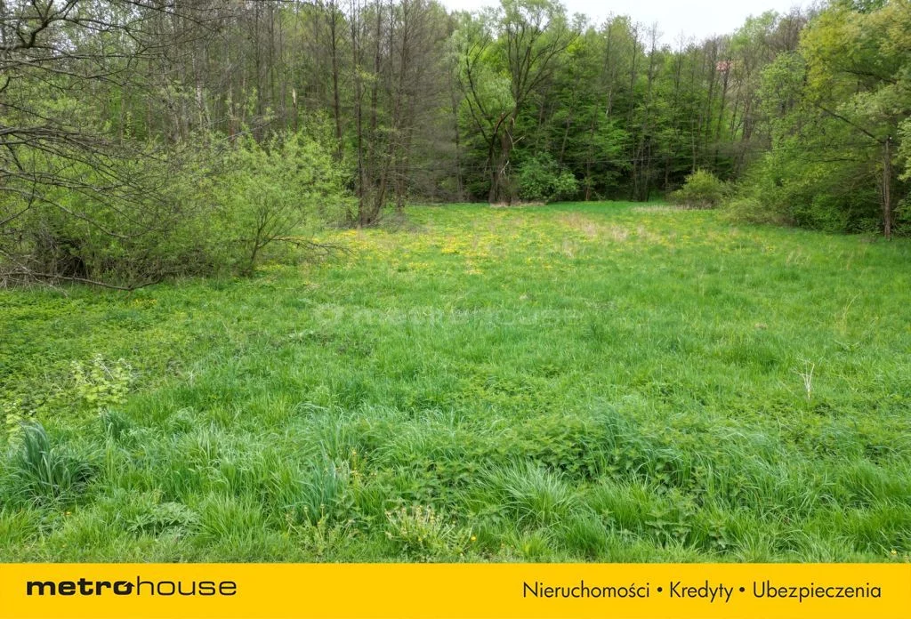 Działka 3 500,00 m², oferta nr , SGVUMI216, Jawornik Polski