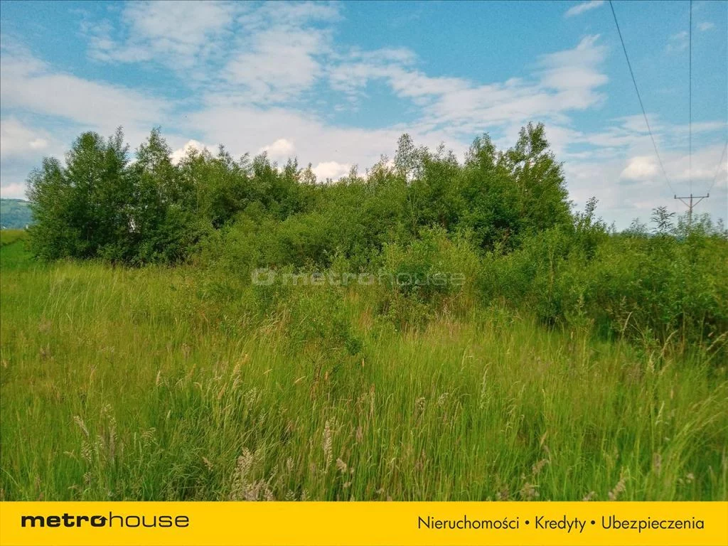 Działka 7 178,00 m², oferta nr , HIGY280, Jelenia Góra