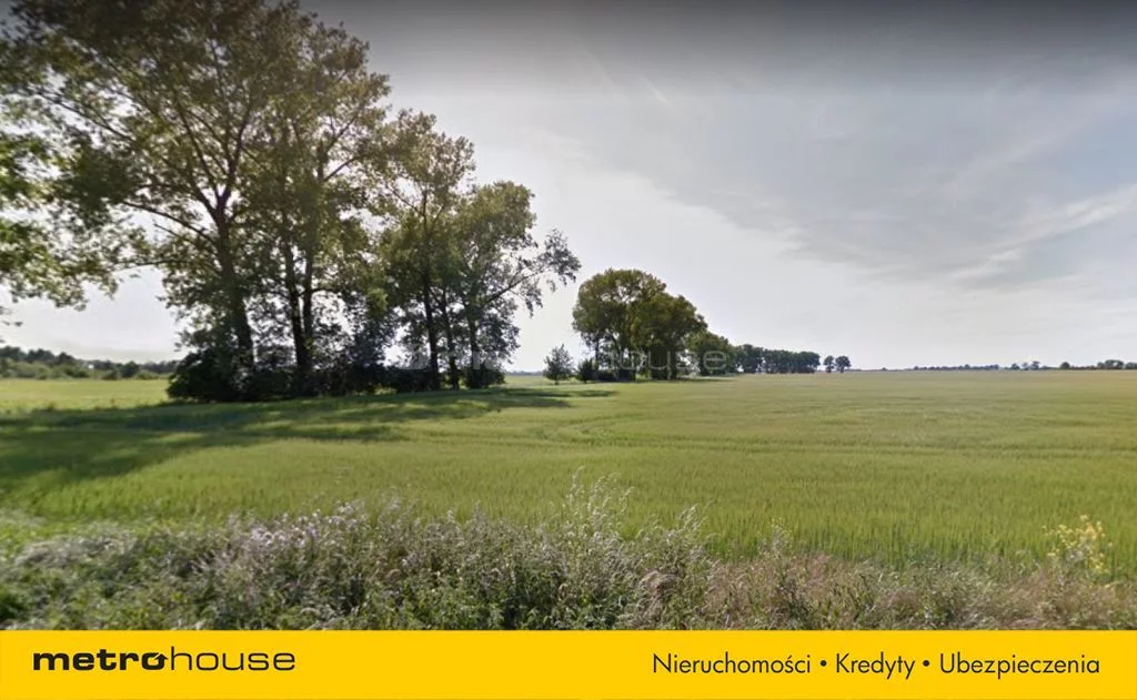 LIBU448 - zdjęcie nr 4
