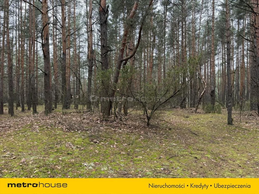 Działka 1 808,00 m², oferta nr , PYRU250, Józefów