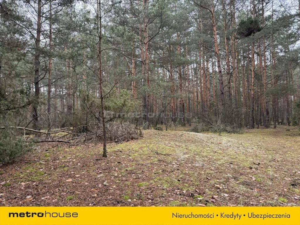 Działka 1 808,00 m², oferta nr , PYRU250, Józefów