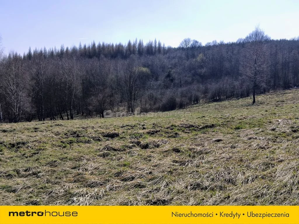 Działka 25 700,00 m², oferta nr , SGVOVE124, Zawiercie, Jurajska