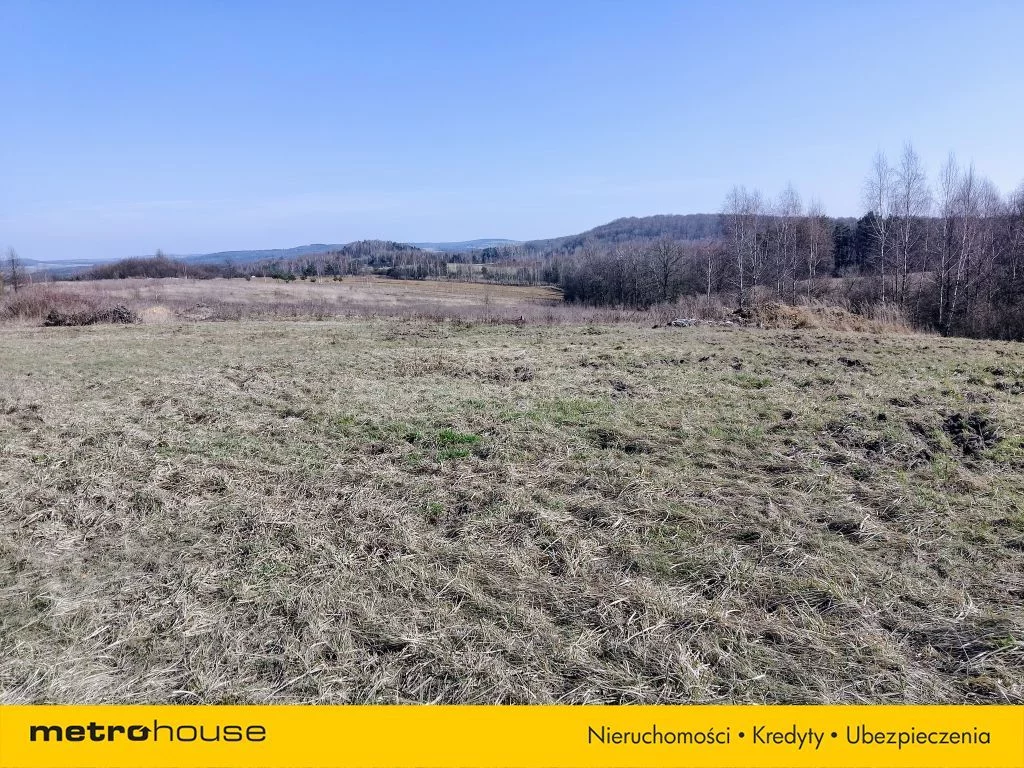 Działka 25 700,00 m², oferta nr , SGVOVE124, Zawiercie, Jurajska