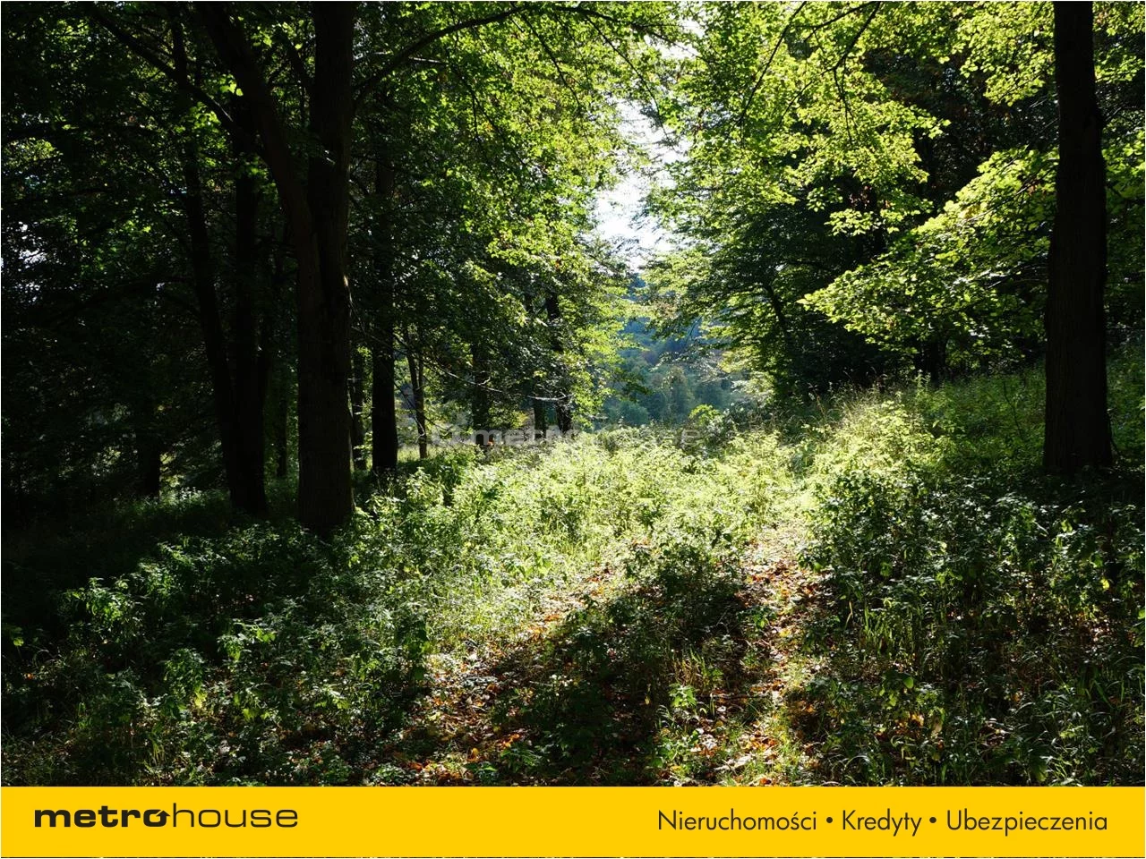 Działka 9 200,00 m², oferta nr , NUBY896, Jureczkowa