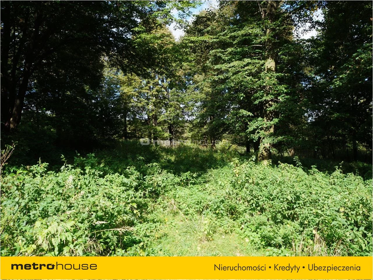 Działka 9 200,00 m², oferta nr , NUBY896, Jureczkowa