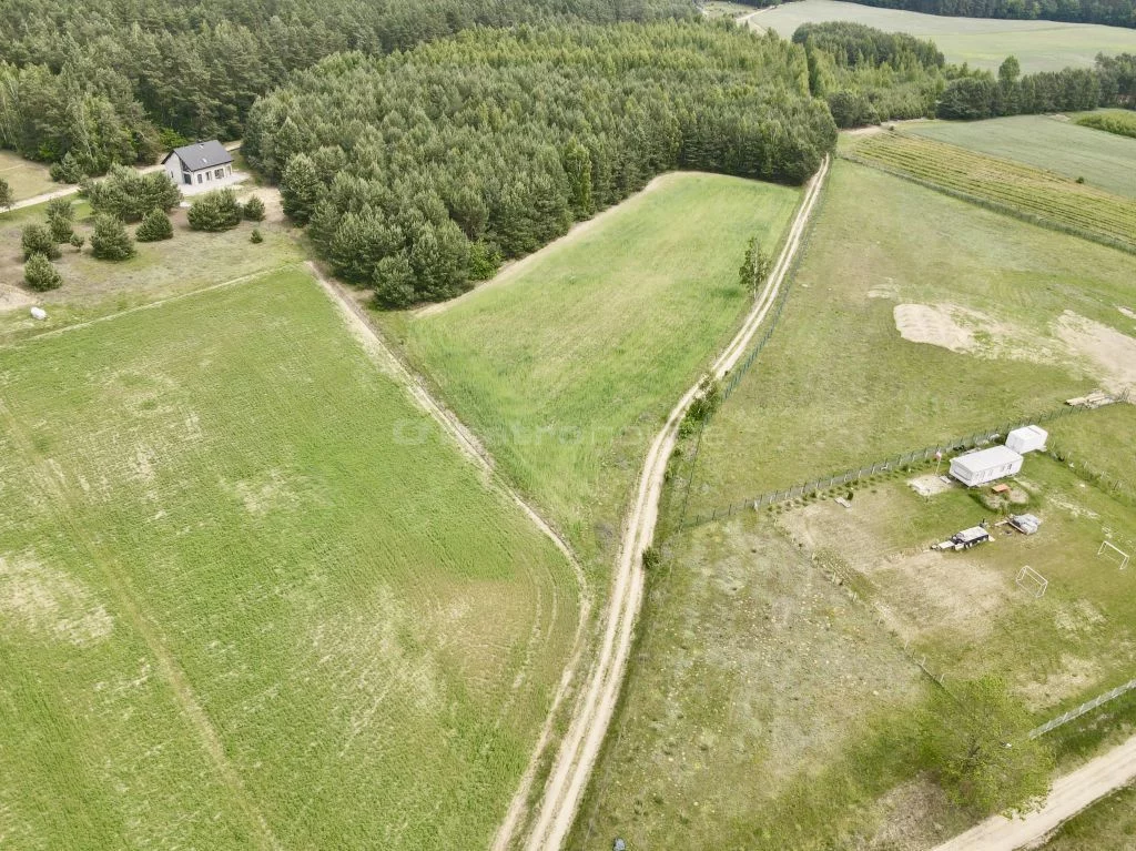SGSUTA803 - zdjęcie nr 1