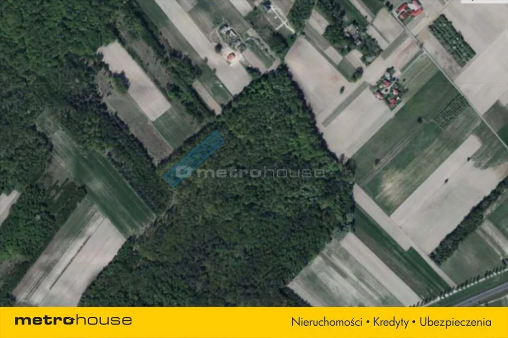 Działka 5 035,00 m², oferta nr , XORE840, Kajetanów