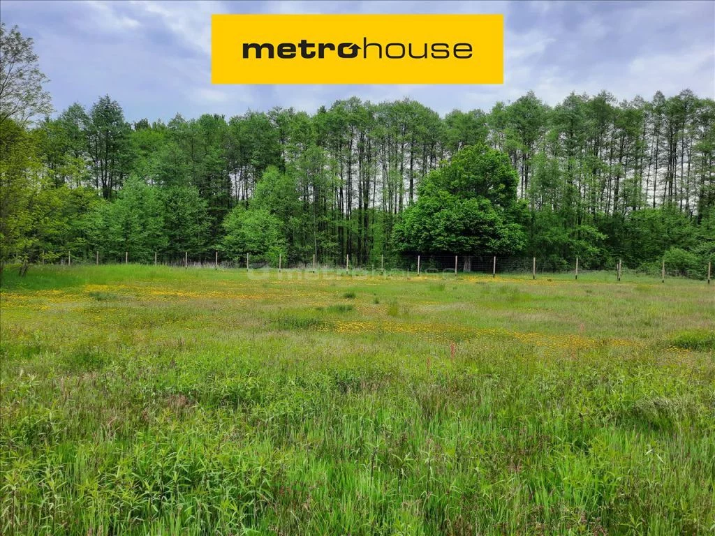 Apartamenty MOCA319 Kałuszyn