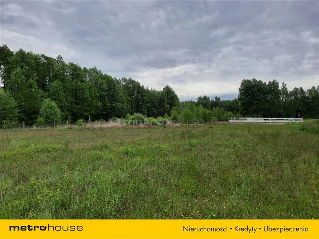 Działka 21 800,00 m², oferta nr , MOCA319, Kałuszyn
