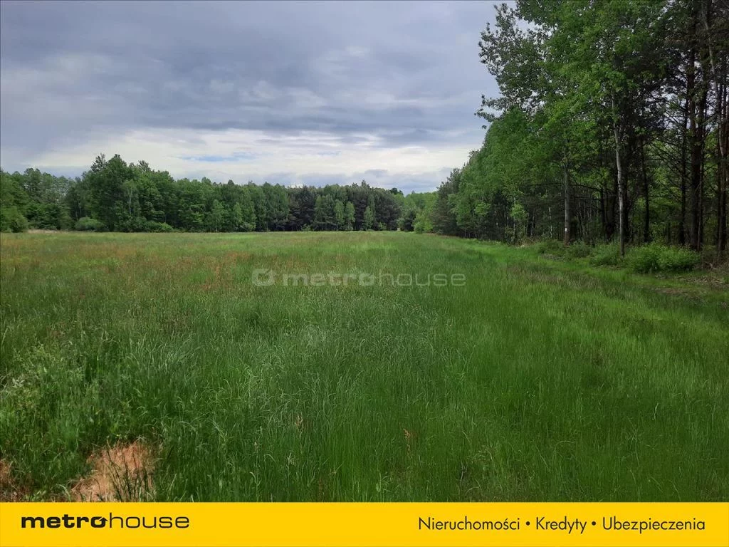 Działka 21 800,00 m², oferta nr , MOCA319, Kałuszyn