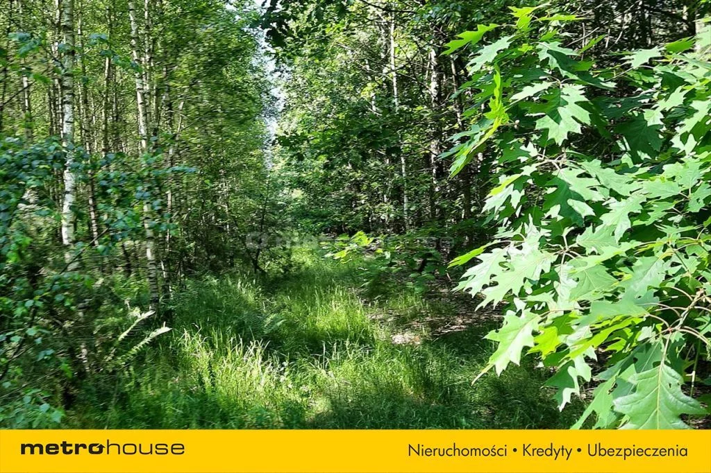 Działka 21 800,00 m², oferta nr , MOCA319, Kałuszyn