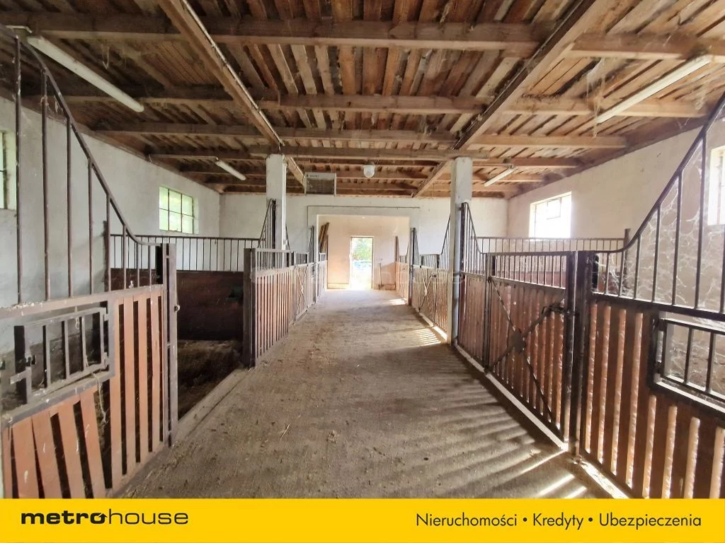 Działka 14 098,00 m², oferta nr , SGMUGE358, Kamieniczne