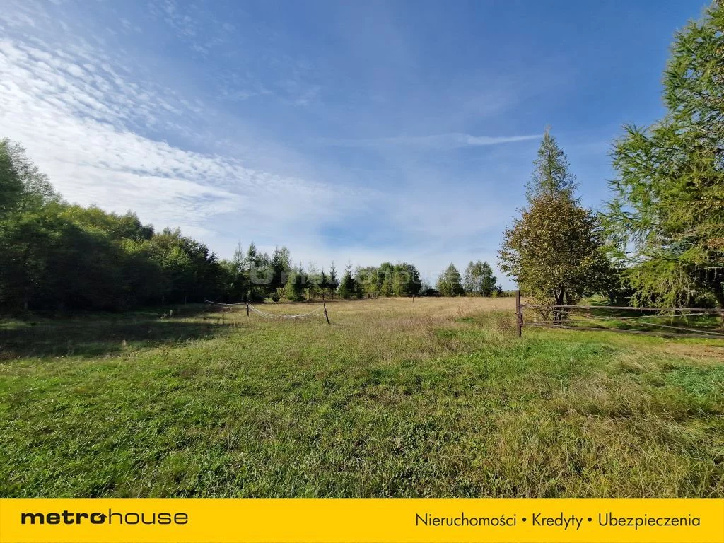 Działka 14 098,00 m², oferta nr , SGMUGE358, Kamieniczne