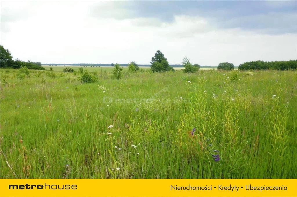 Działka 3 008,00 m², oferta nr , SIZU614, Kamionka