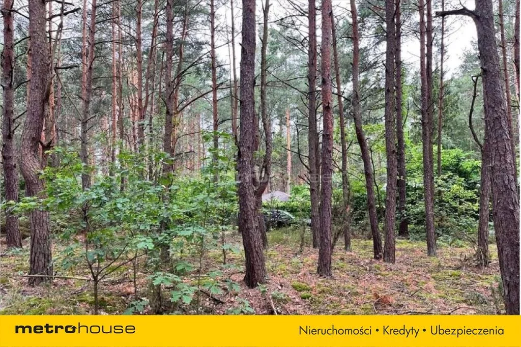 Działka 1 503,00 m², oferta nr , MYPE227, Kania Góra