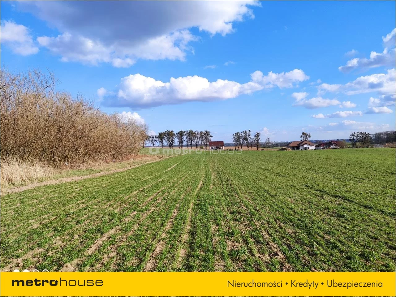 Działka 5 747,00 m², oferta nr , BARO586, Karbowo