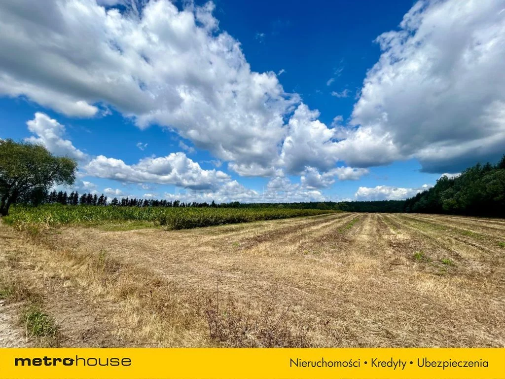 Działka 13 600,00 m², oferta nr , SGVUTE602, Karnice