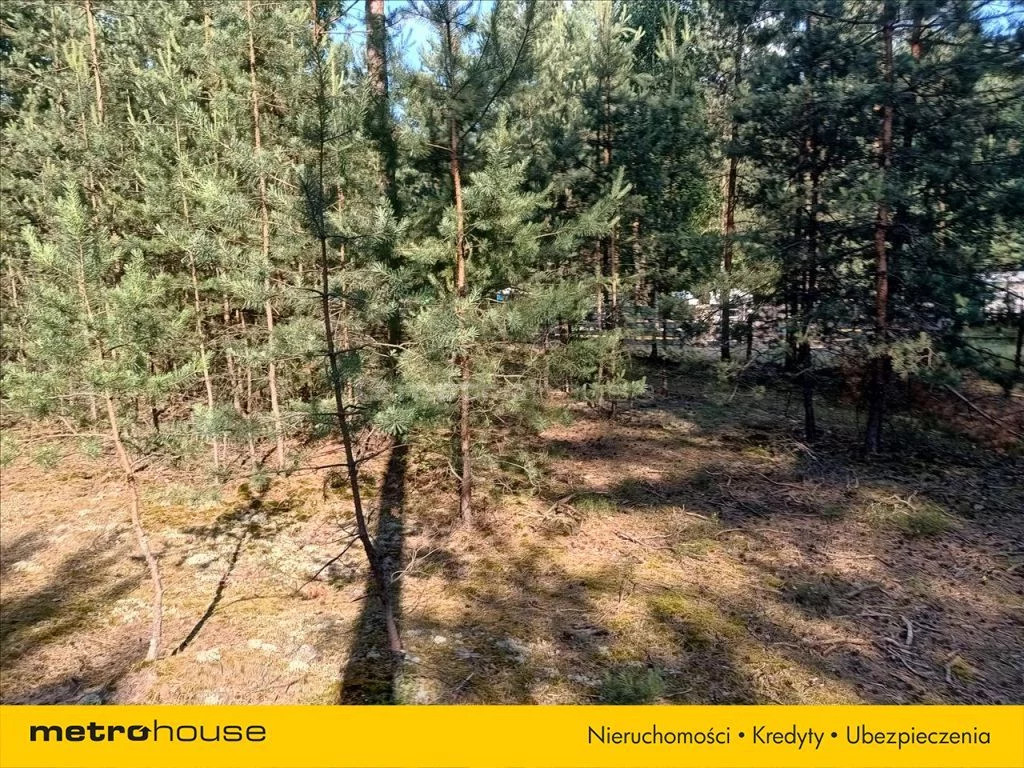 Działka 3 597,00 m², oferta nr , RUJY365, Karolinów