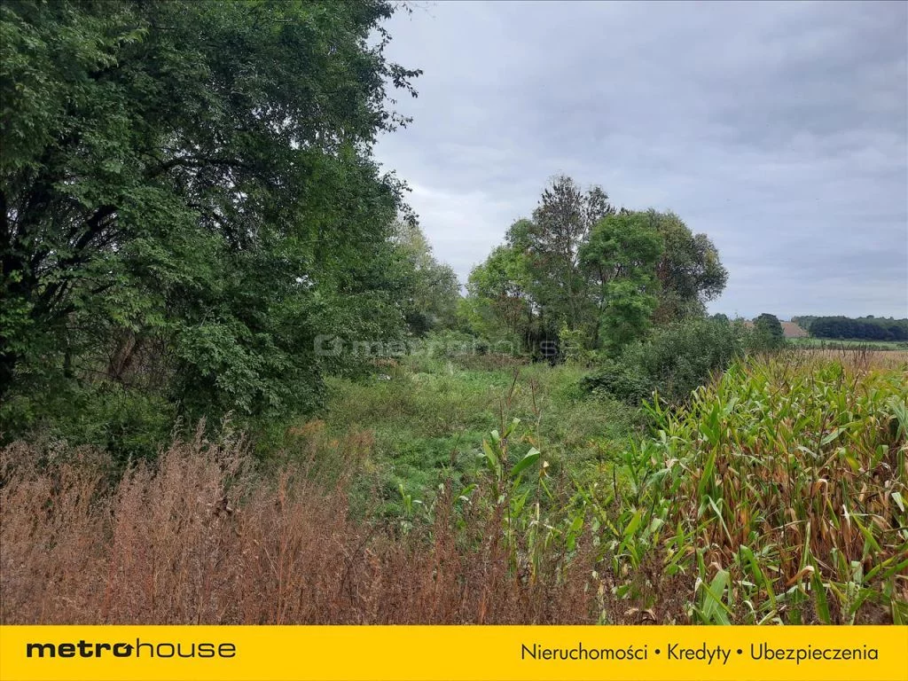 Działka 625,00 m², oferta nr , SETO880, Kątno