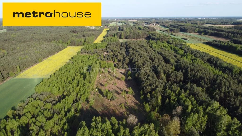 Działka 3 000,00 m², Kępiaste, Sprzedaż
