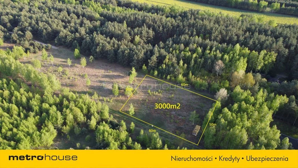SGVAGO934 - zdjęcie nr 1