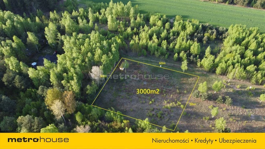 SGVAGO934 - zdjęcie nr 2