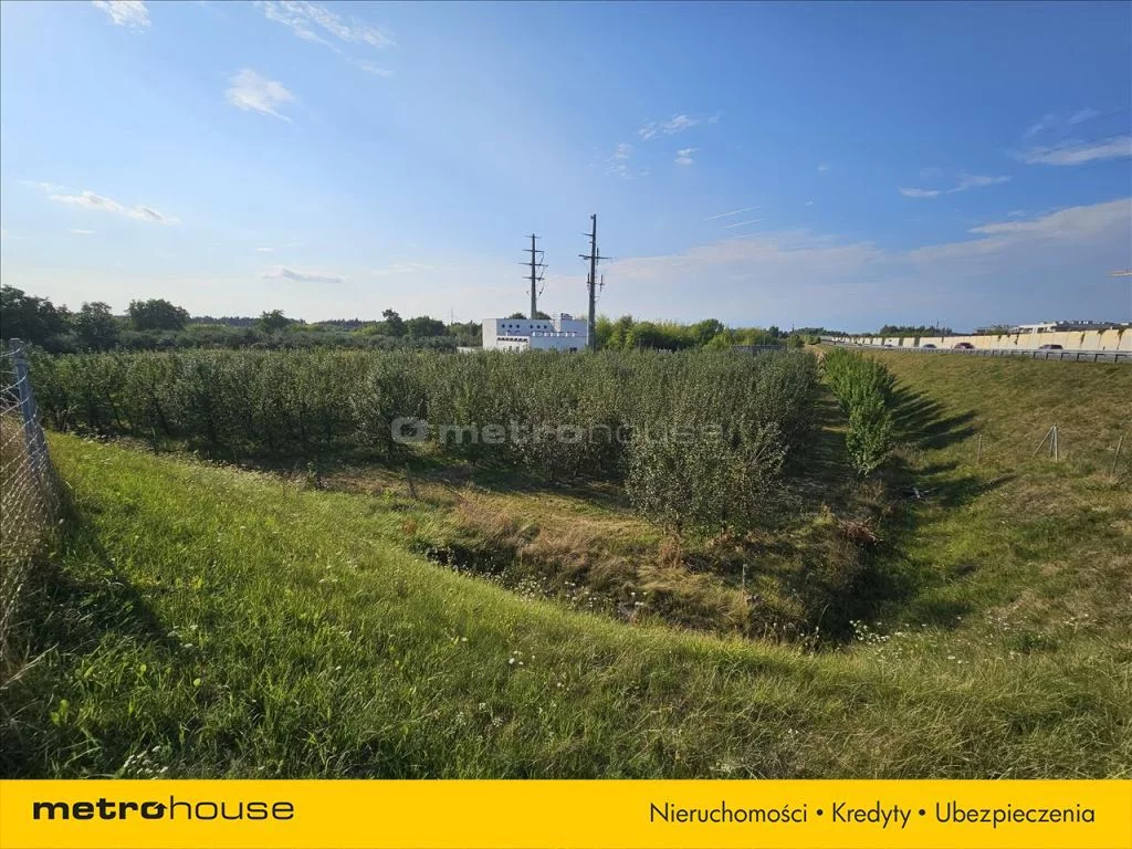 Działka 10 585,00 m², oferta nr , SGLODY876, Kępina