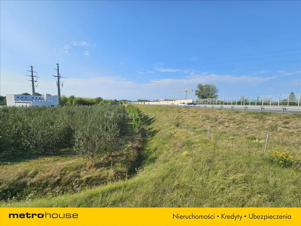 Działka 10 585,00 m², oferta nr , SGLODY876, Kępina