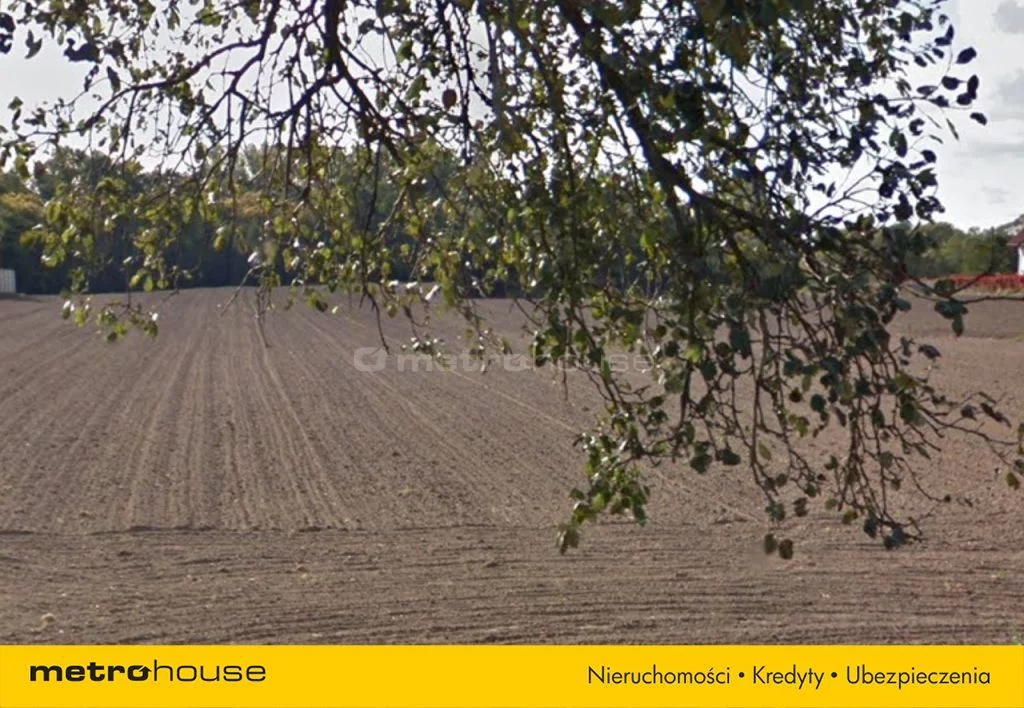 Działka 25 000,00 m², oferta nr , SGFECO117, Kiączyn